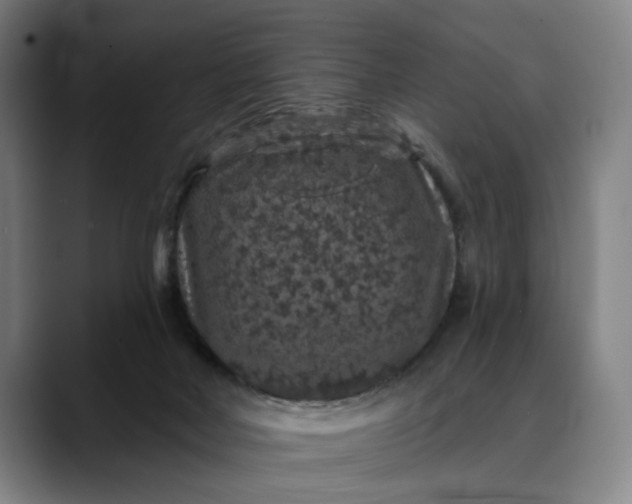 X0000088670026200706141344