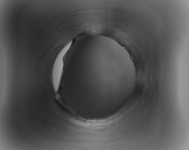 X0000088670027200706141344