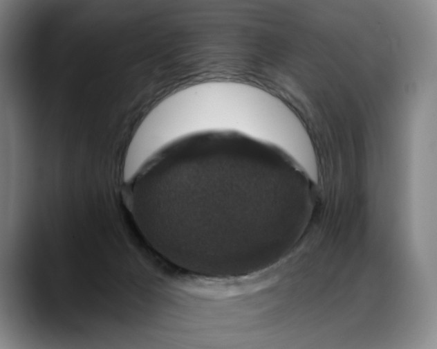 X0000088670029200706141344