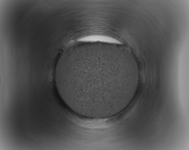 X0000088670032200706141344