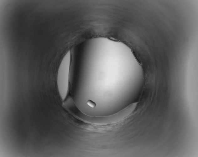 X0000088670033200706141344