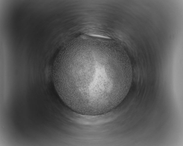X0000088670034200706141344