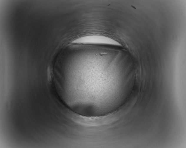 X0000088670038200706141344