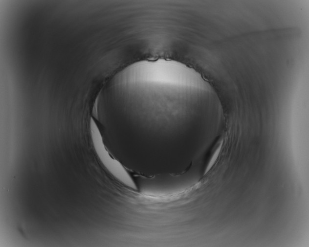 X0000088670039200706141344