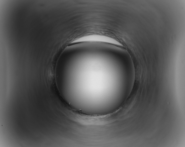 X0000088670040200706141344