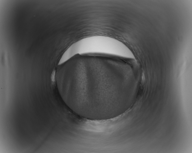 X0000088670041200706141344