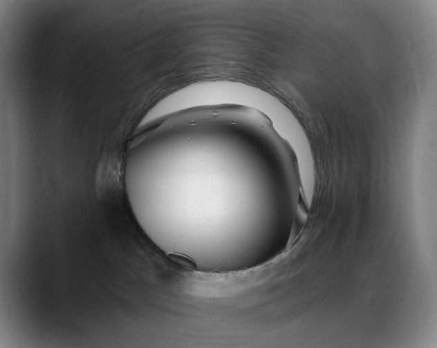 X0000088670045200706141344