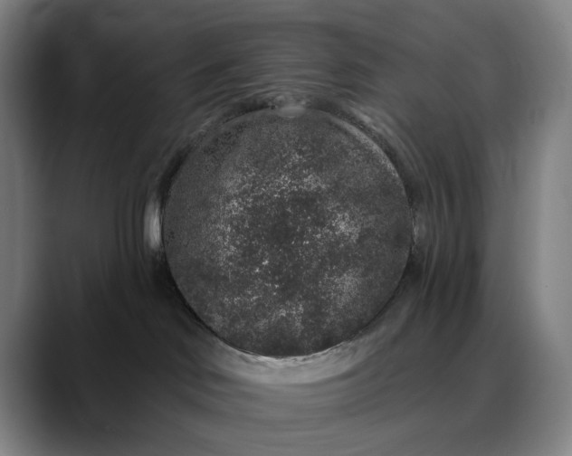 X0000088670046200706141344