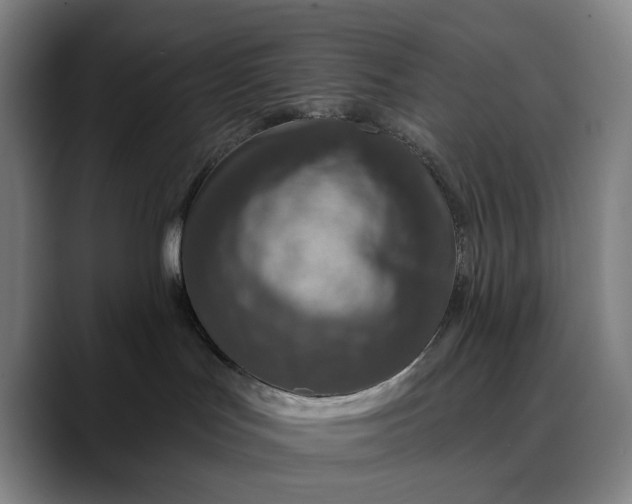 X0000088670047200706141344