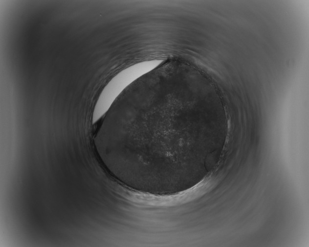 X0000088670048200706141344