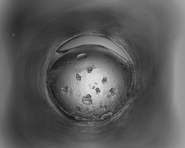 X0000088670049200706141343