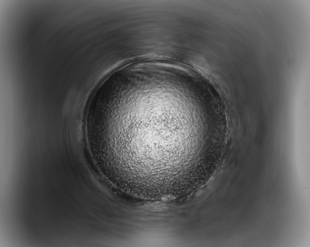 X0000088670050200706141343