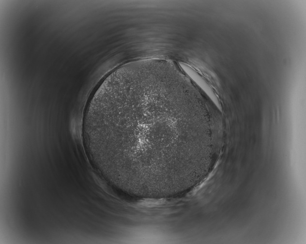 X0000088670051200706141343