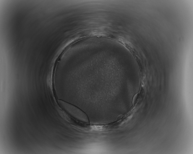 X0000088670052200706141343