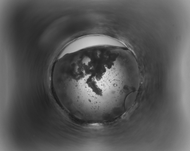 X0000088670053200706141343
