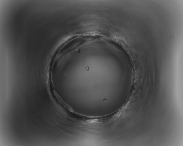X0000088670054200706141343