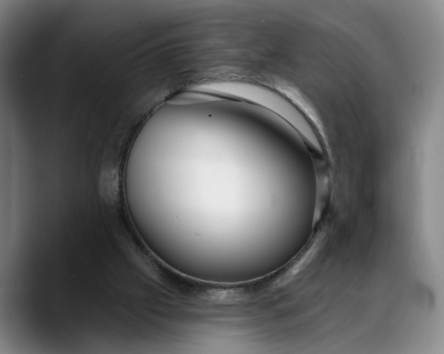 X0000088670057200706141344
