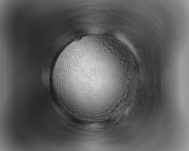 X0000088670058200706141344