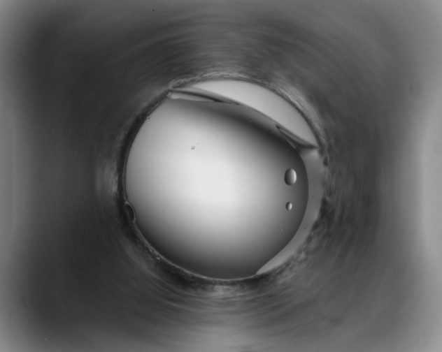 X0000088670060200706141344