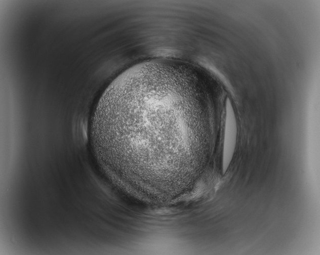 X0000088670062200706141344