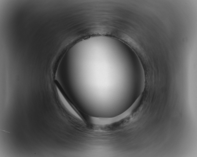 X0000088670064200706141344