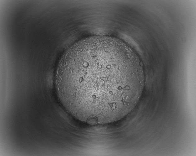 X0000088670065200706141344