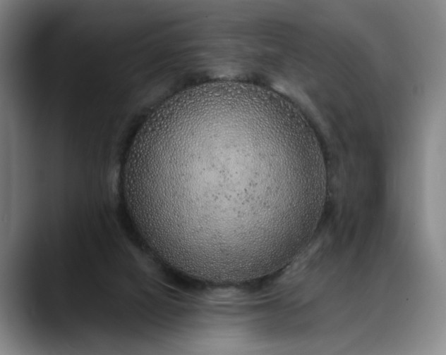 X0000088670066200706141344