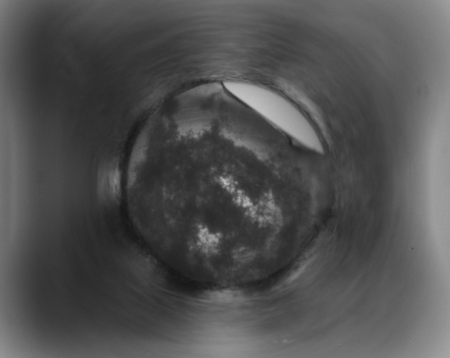 X0000088670067200706141344