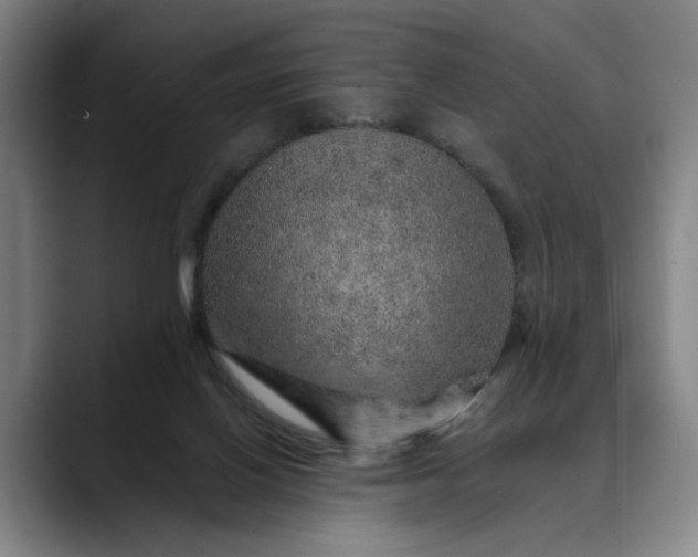 X0000088670070200706141344