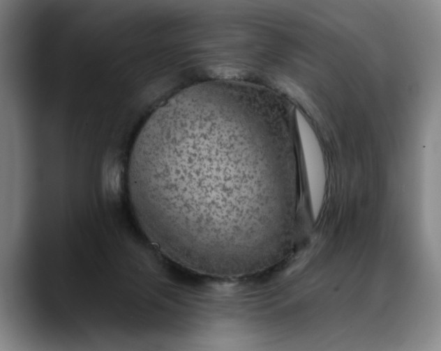 X0000088670071200706141344