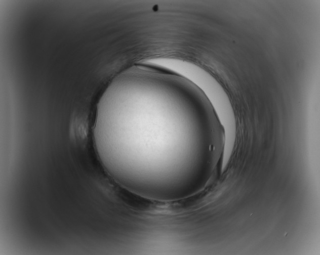 X0000088670072200706141344