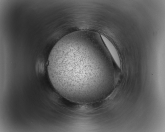 X0000088670074200706141344