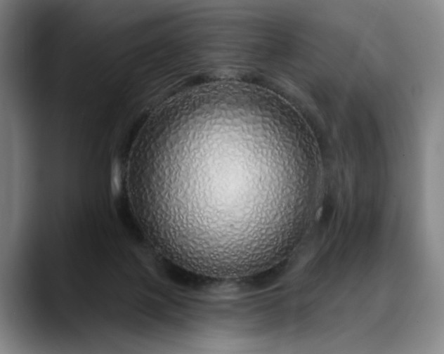 X0000088670075200706141344