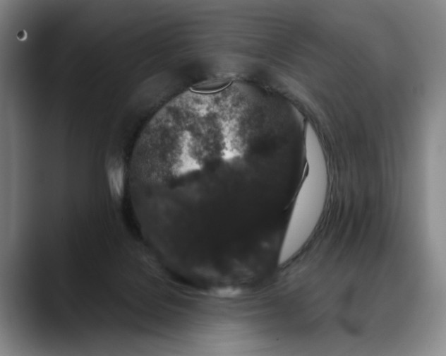X0000088670076200706141344