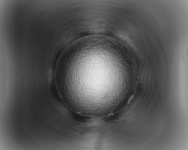 X0000088670077200706141344