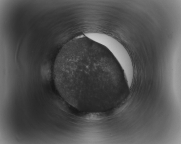 X0000088670080200706141344