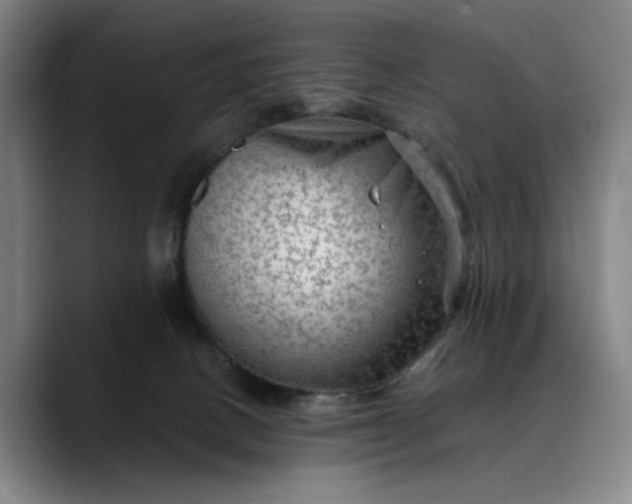 X0000088670082200706141344