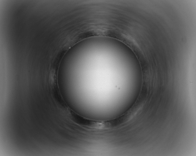 X0000088670083200706141344