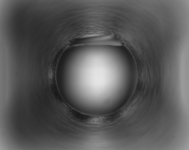 X0000088670084200706141344