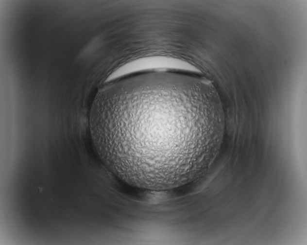 X0000088670085200706141344