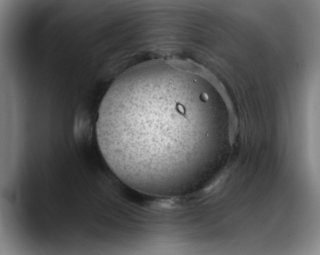 X0000088670086200706141344
