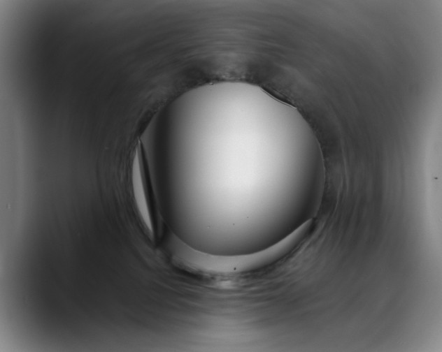 X0000088670088200706141344
