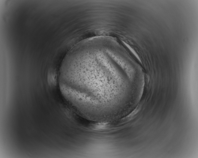 X0000088670090200706141344