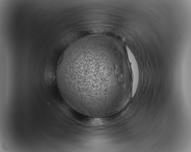 X0000088670091200706141344
