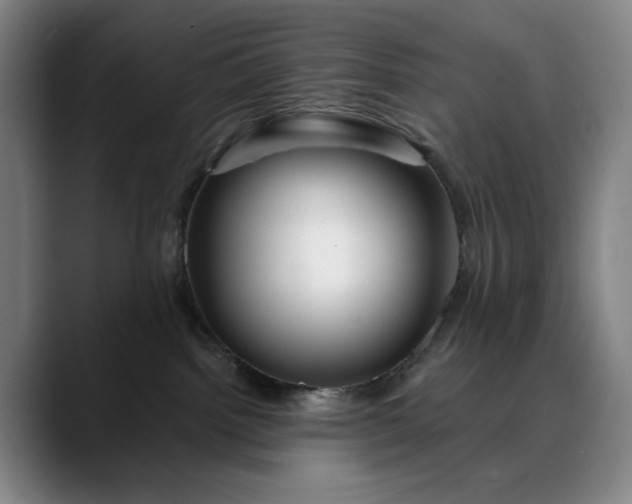 X0000088670092200706141344