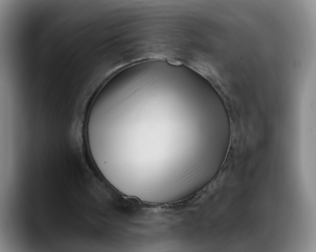 X0000088670098200706141343