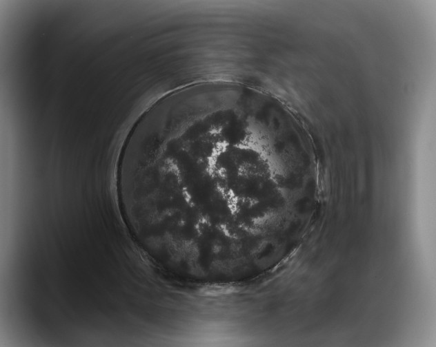 X0000088670099200706141343