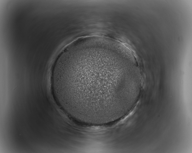 X0000088670101200706141343