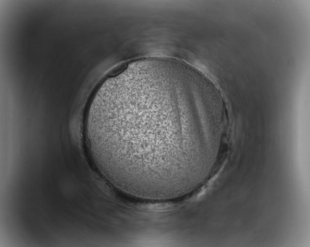 X0000088670103200706141343