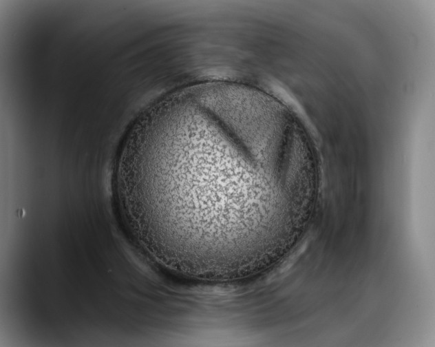 X0000088670106200706141343